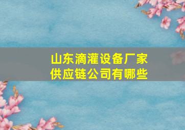 山东滴灌设备厂家供应链公司有哪些