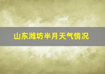 山东潍坊半月天气情况