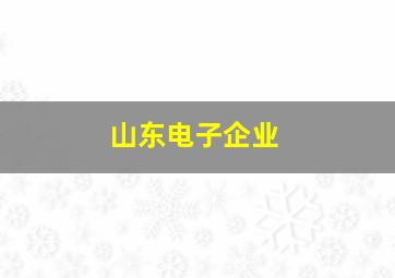 山东电子企业