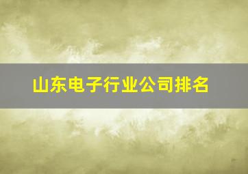 山东电子行业公司排名