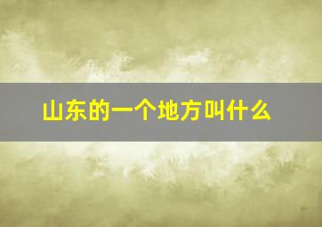 山东的一个地方叫什么