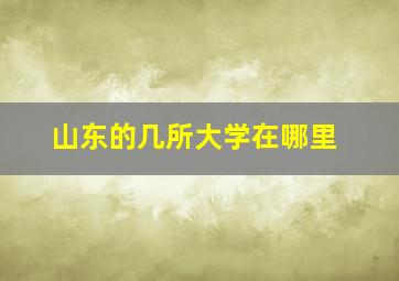 山东的几所大学在哪里