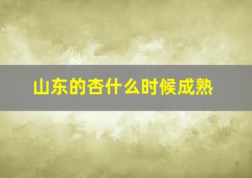 山东的杏什么时候成熟