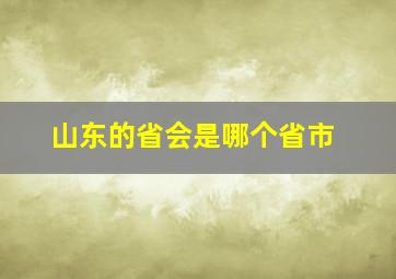 山东的省会是哪个省市