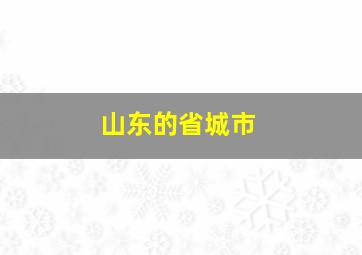 山东的省城市