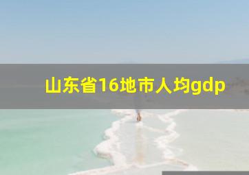 山东省16地市人均gdp