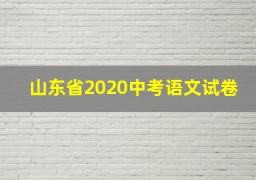 山东省2020中考语文试卷