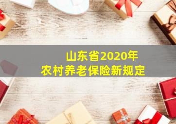 山东省2020年农村养老保险新规定