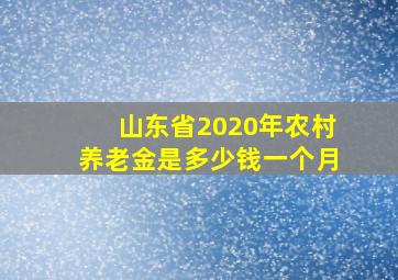 山东省2020年农村养老金是多少钱一个月