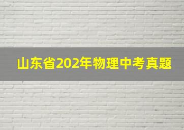 山东省202年物理中考真题