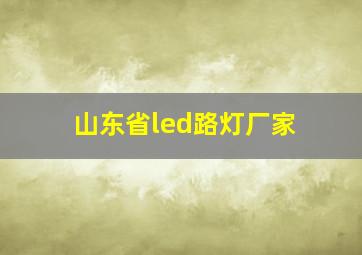 山东省led路灯厂家