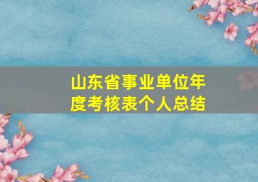 山东省事业单位年度考核表个人总结