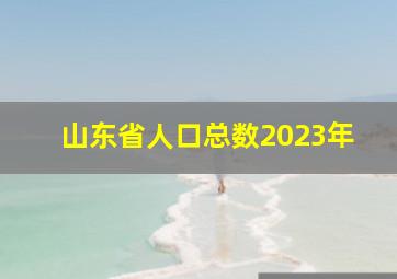 山东省人口总数2023年