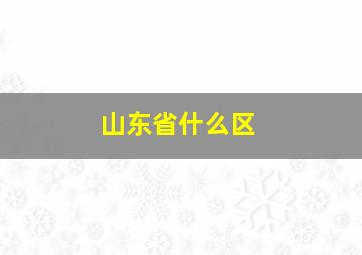 山东省什么区