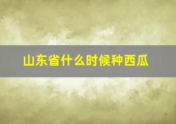 山东省什么时候种西瓜