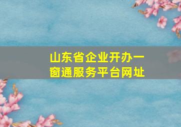 山东省企业开办一窗通服务平台网址