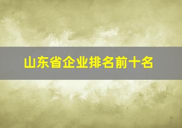 山东省企业排名前十名