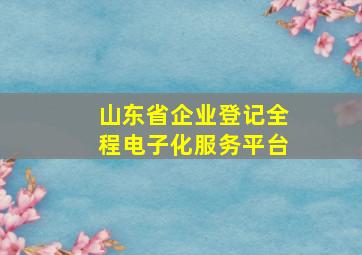 山东省企业登记全程电子化服务平台