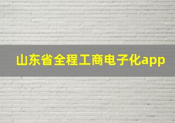 山东省全程工商电子化app