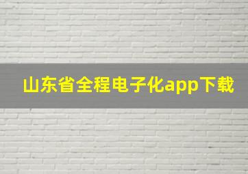 山东省全程电子化app下载