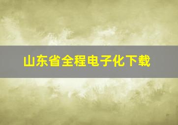 山东省全程电子化下载