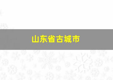 山东省古城市