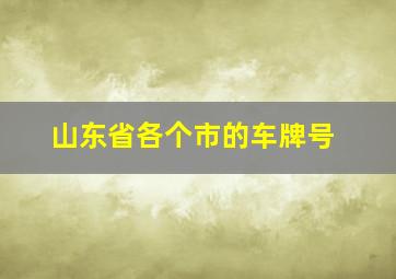 山东省各个市的车牌号