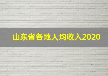 山东省各地人均收入2020