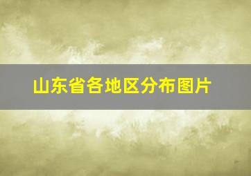 山东省各地区分布图片