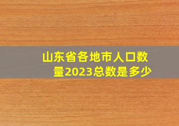 山东省各地市人口数量2023总数是多少