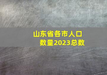 山东省各市人口数量2023总数