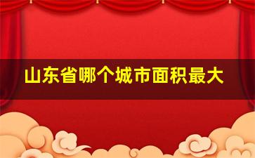 山东省哪个城市面积最大