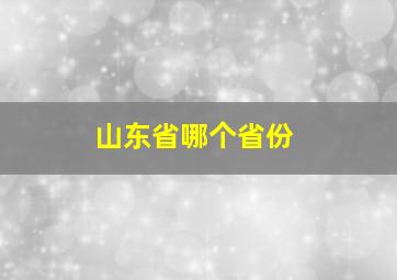 山东省哪个省份