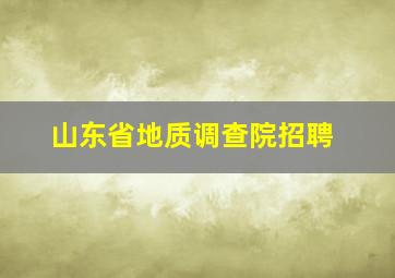 山东省地质调查院招聘