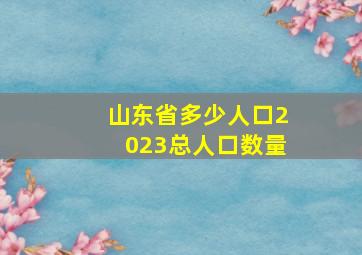 山东省多少人口2023总人口数量