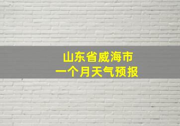 山东省威海市一个月天气预报