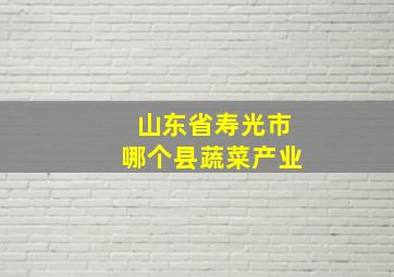 山东省寿光市哪个县蔬菜产业