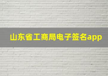 山东省工商局电子签名app