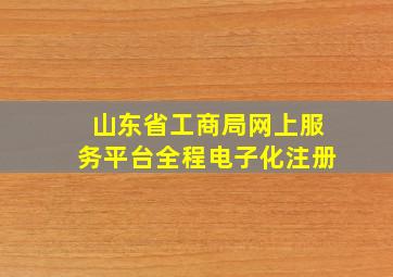 山东省工商局网上服务平台全程电子化注册