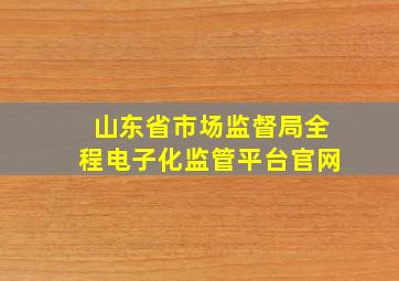 山东省市场监督局全程电子化监管平台官网