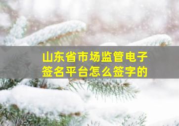 山东省市场监管电子签名平台怎么签字的