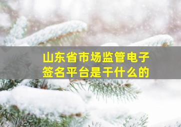 山东省市场监管电子签名平台是干什么的