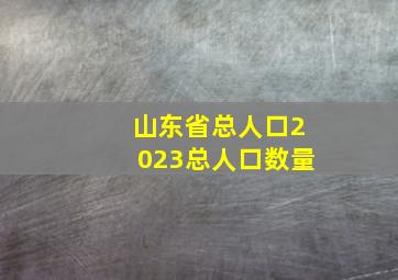 山东省总人口2023总人口数量