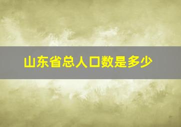 山东省总人口数是多少