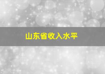 山东省收入水平