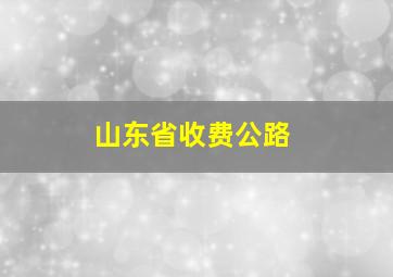 山东省收费公路