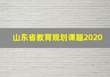 山东省教育规划课题2020