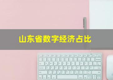 山东省数字经济占比