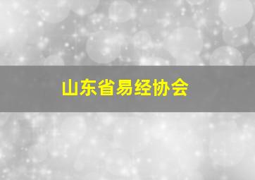 山东省易经协会