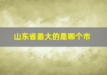 山东省最大的是哪个市